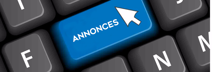 Annonce service on web 360